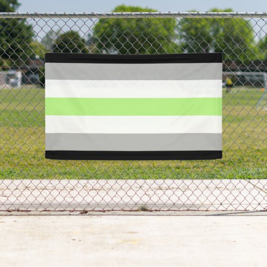 Agender Pride Flag Banner (Insitu)