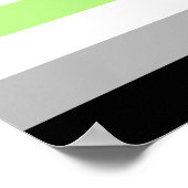 Agender Pride Flag Poster (Ecke)