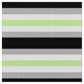 Agender Pride Flag Stoff (Nahaufnahme)