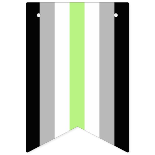 Agender Pride Flag Wimpelkette (Zweite Fahne)