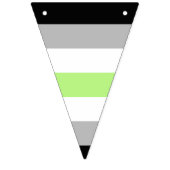 Agender Pride Flag Wimpelkette (Dritte Fahne)