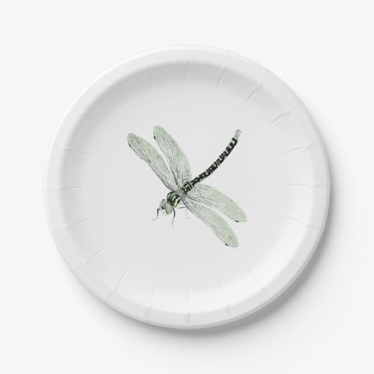 Agender Pride Vintag Dragonfly Art Pappteller (Vorderseite)