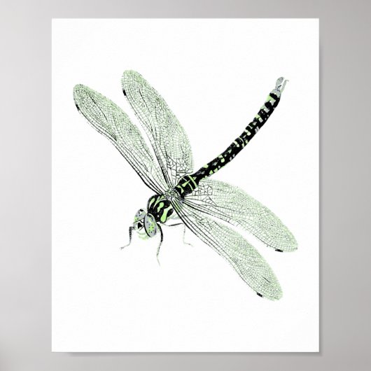 Agender Pride Vintag Dragonfly Art Poster (Vorne)