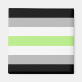 Agender-Stolzflagge – Agender-Identität LGBTQIA+ Magnet