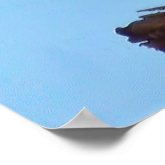 Agent 99 poster (Ecke)