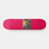 Agent-Orange Funnycomb Skateboard (Horizontal)