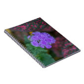 Ageratum im Garten Notizblock (Rechte Seite)