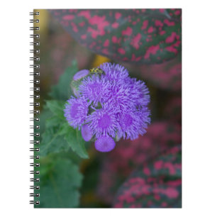 Ageratum im Garten Notizblock