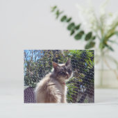 Aggie Postkarte (Stehend Vorderseite)