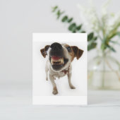 aggressiv postkarte (Stehend Vorderseite)