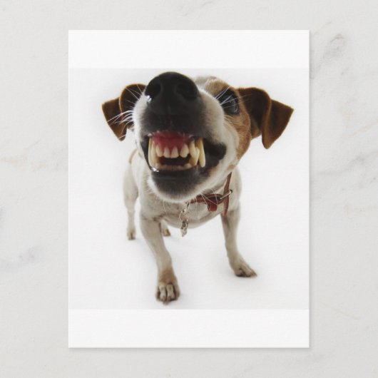 aggressiv postkarte (Vorderseite)