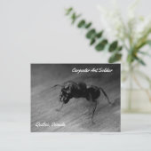 Aggressive Haltung des schwarzen Tischlers und Sol Postkarte (Stehend Vorderseite)