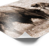 Aggressiver Bison und schwarzer Wolf Fotodruck (Ecke)