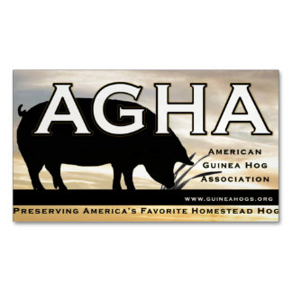 AGHA Farbmagnet Magnetische Visitenkarte