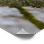 Agile Brown Squirrel in Alberta Poster (Ecke)