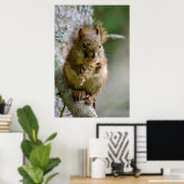 Agile Brown Squirrel in Alberta Poster (Heimbüro)