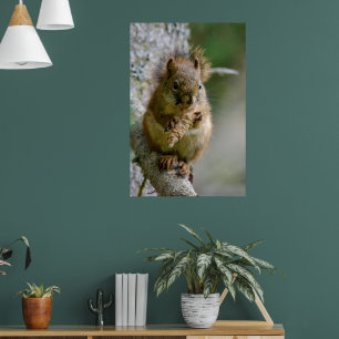 Agiles Braunhörnchen in Alberta Poster