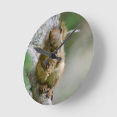 Agiles Braunhörnchen in Alberta Runde Wanduhr (Winkel)
