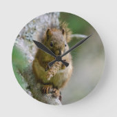 Agiles Braunhörnchen in Alberta Runde Wanduhr (Vorderseite)