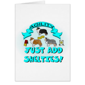 Agility - addieren Sie einfach Shelties