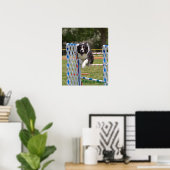 Agility Border Collie Poster (Heimbüro)