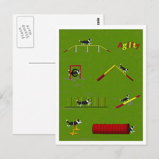 Agility Border Collie Postkarte (Vorne/Hinten)