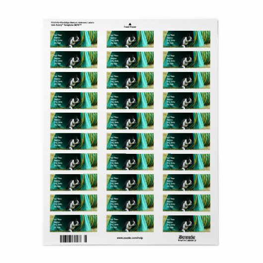 Agility Boston Terrier Address Labels (Vorne)