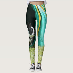 Agility-Boston-Terrierhundekunst-Leggings Leggings