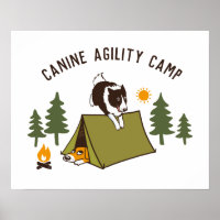 Agility Dog Niedlich Border Collie Camp Custom