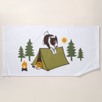 Agility Dog Niedlich Border Collie Camp