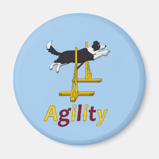 Agility Magnet