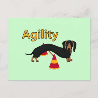 Agility Postkarte