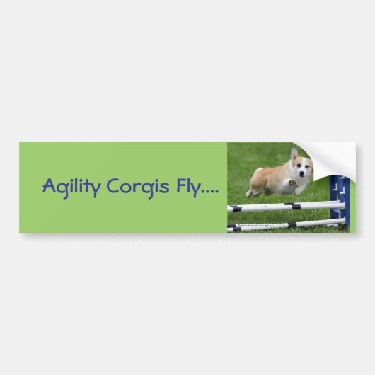 AgilityCorgis fliegen Autoaufkleber (Vorne)