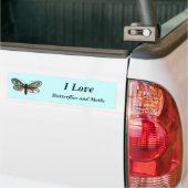 Aglaope infausta - Almond-Tree Leaf Skeletonizer Autoaufkleber (Auf Lkw)
