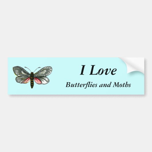 Aglaope infausta - Almond-Tree Leaf Skeletonizer Autoaufkleber (Vorne)