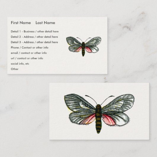 Aglaope infausta - Almond-Tree Leaf Skeletonizer B Visitenkarte (Vorne/Hinten)