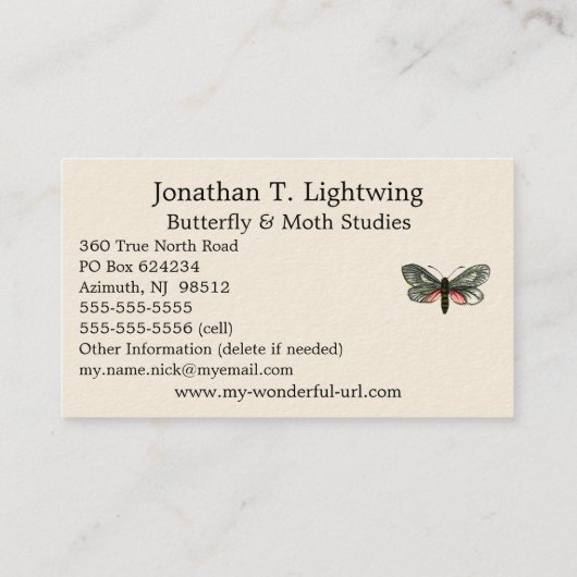 Aglaope infausta - Almond-Tree Leaf Skeletonizer B Visitenkarte (Rückseite)