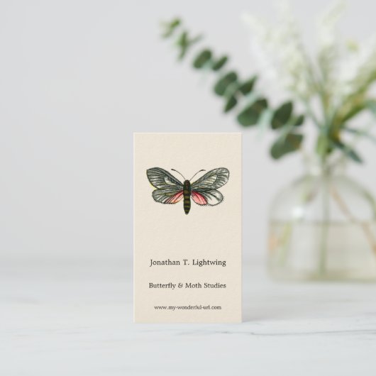 Aglaope infausta - Almond-Tree Leaf Skeletonizer B Visitenkarte (Stehend Vorderseite)