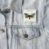 Aglaope infausta - Almond-Tree Leaf Skeletonizer Button (Beispiel)