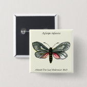 Aglaope infausta - Almond-Tree Leaf Skeletonizer Button (Vorne & Hinten)