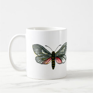 Aglaope infausta - Almond-Tree Leaf Skeletonizer Kaffeetasse