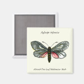 Aglaope infausta - Almond-Tree Leaf Skeletonizer Magnet (Vorderseite/Rückseite)