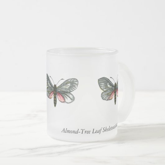 Aglaope infausta - Almond-Tree Leaf Skeletonizer Mattglastasse (VorderseiteRechts)