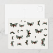 Aglaope infausta - Almond-Tree Leaf Skeletonizer Postkarte (Vorne/Hinten)