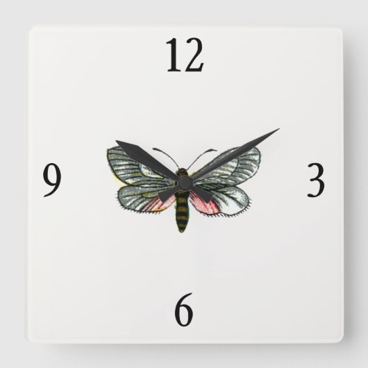 Aglaope infausta - Almond-Tree Leaf Skeletonizer Quadratische Wanduhr (Vorderseite)