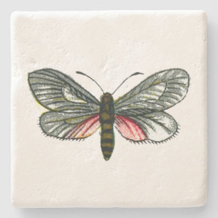 Aglaope infausta - Almond-Tree Leaf Skeletonizer Steinuntersetzer