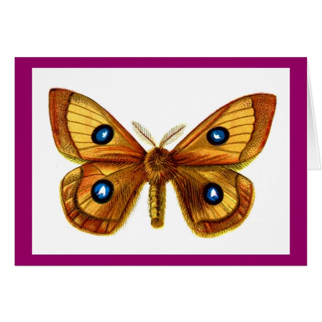Aglia Tau Butterfly (Vorderseite (Horizontal))