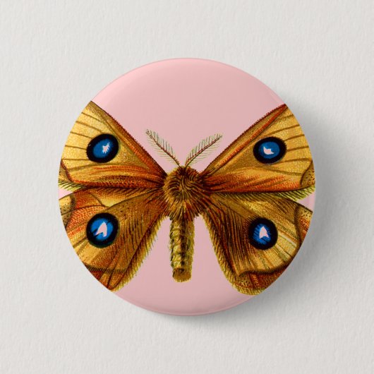 Aglia Tau Butterfly Button (Vorderseite)