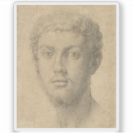 Agnolo Bronzino - Leiter eines Mannes Aufkleber