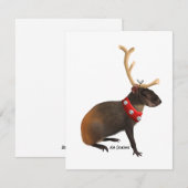 Agouti - Ferienkarte Feiertagskarte (Vorne/Hinten)